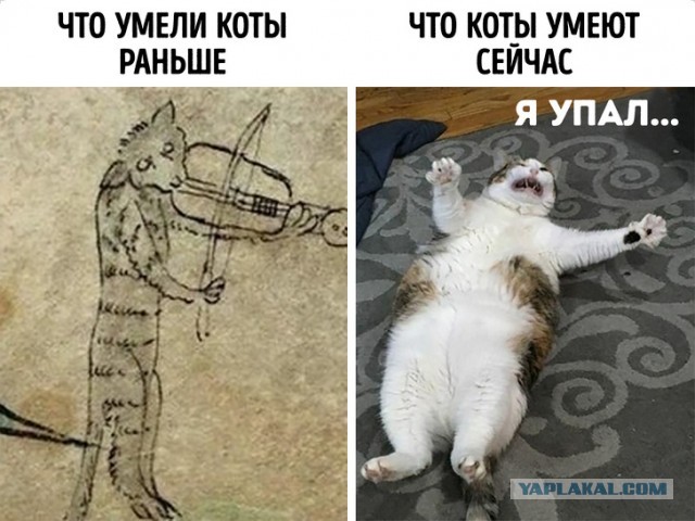 Как же его скрутило то...