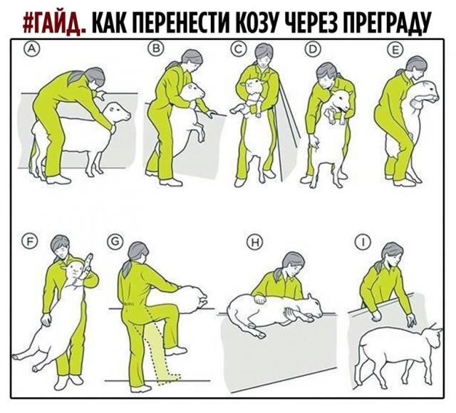 А х*ли нет?