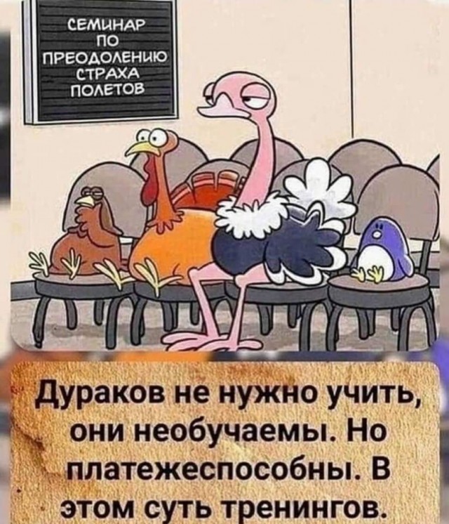 Семинар прикольные картинки