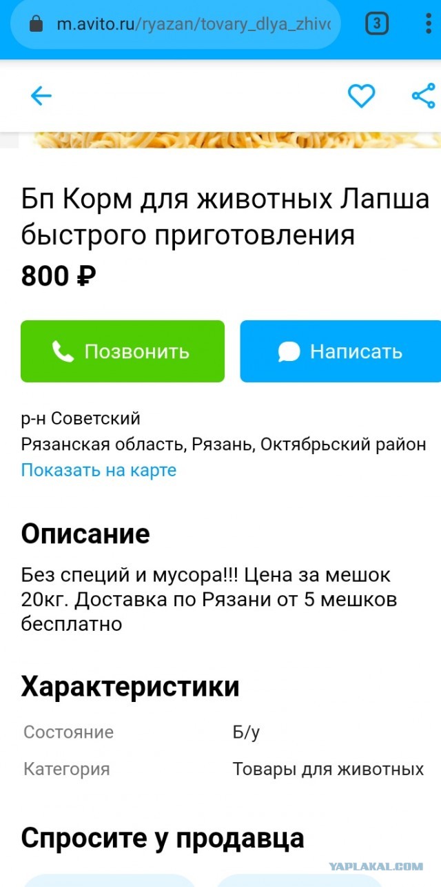 Путин поручил правительству РФ снизить уровень бедности россиян
