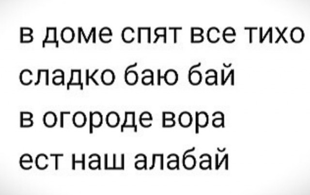Вор пытался проникнуть в чужой дом, но не знал про собак