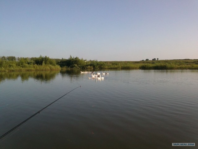 Пятничные посиделки на теплотрассе ©