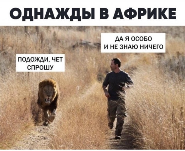 Картинки и мемы для настроения 2021.09.07