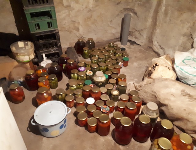 Зимой не пропаду!
