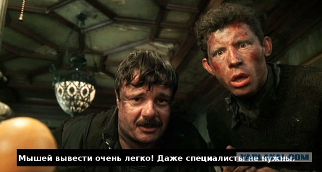 Каркасный дом. Какие подвохи ожидают неопытного?