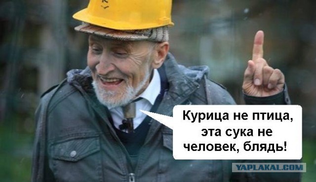 Мудрость от экономиста-инфекциониста