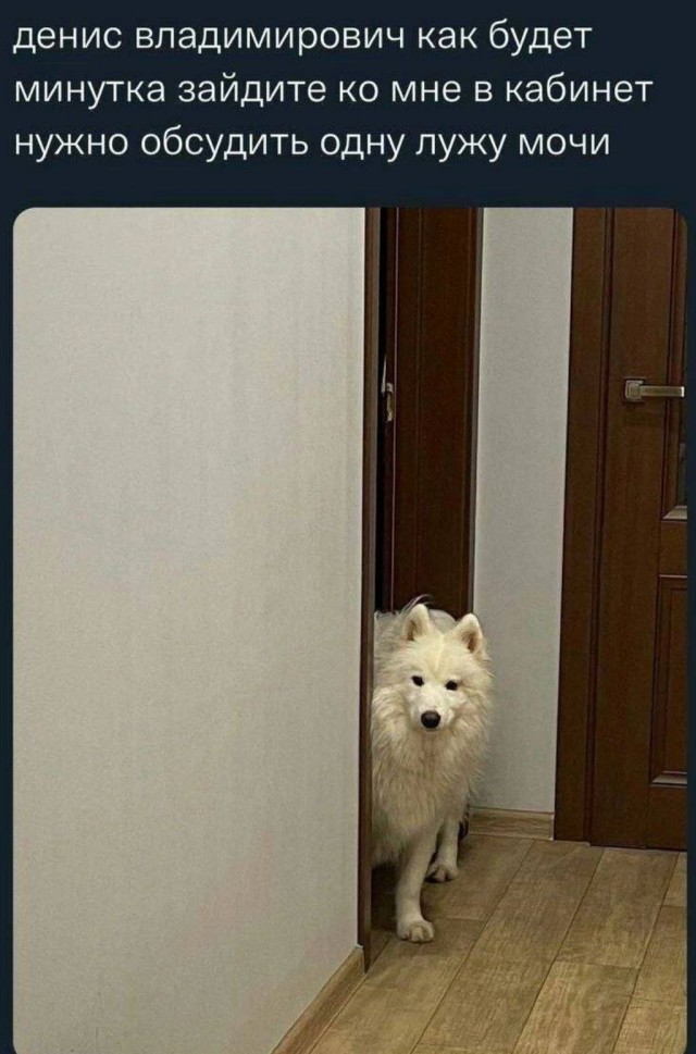 Картинки аморальные и всякие разные - 19