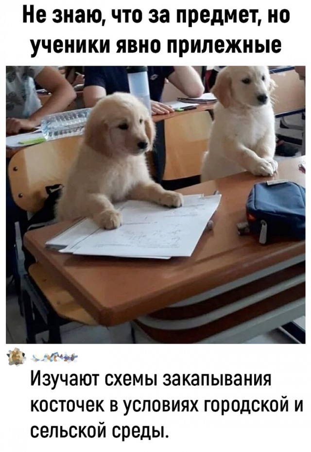 Так себе картинки 24.06.22