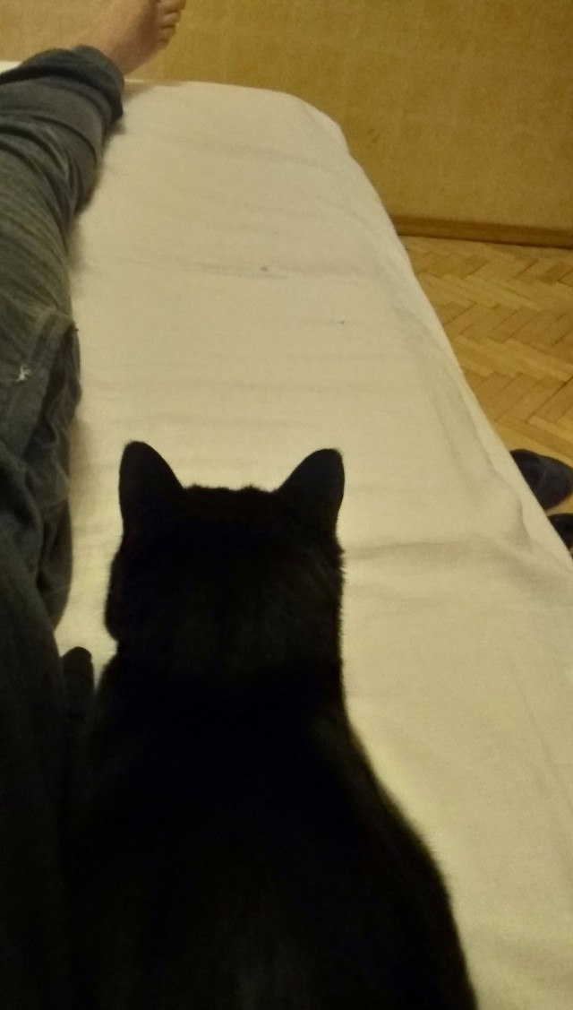 А как вы спите с котиком?