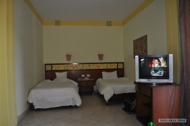 Как я ездил в Египет