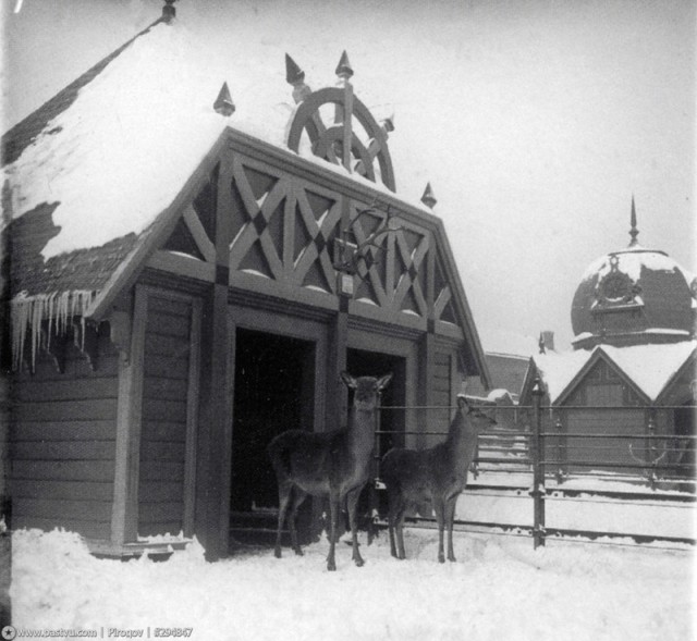 Москва 1900-1914 годов в фотографиях Сергея Челнокова