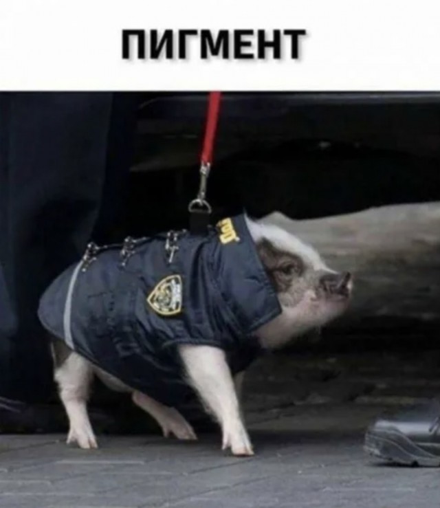 Произошел просто вопиющий случай, прошу огласки и внимания общественности!