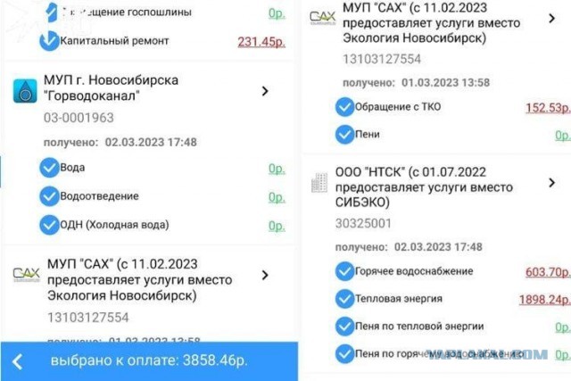 Это какой то небывалый цинизм