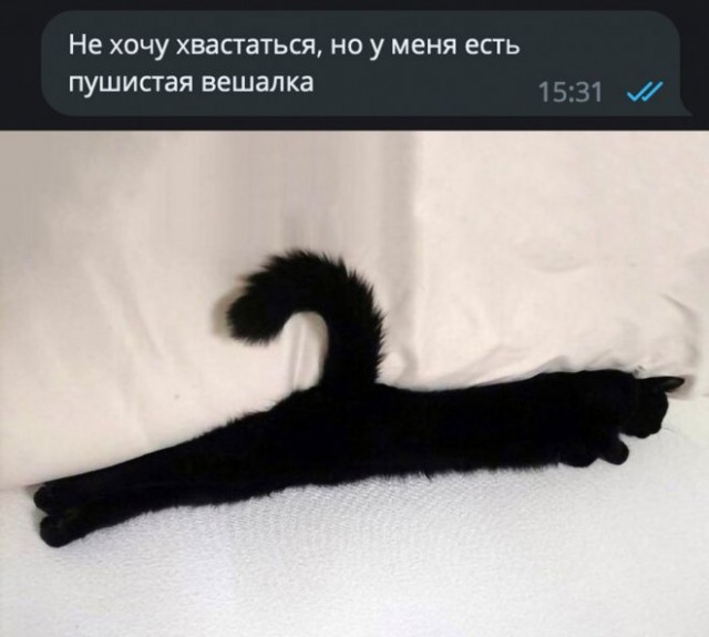 Картинки и мемы, всем хороших выходных