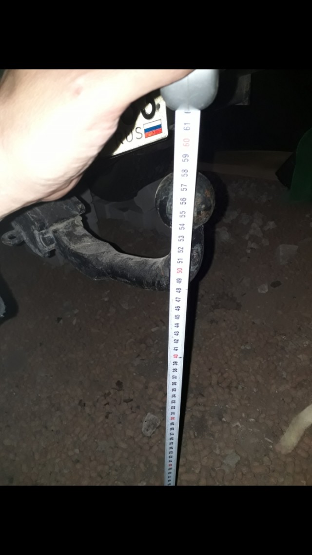 Откуда они появились?