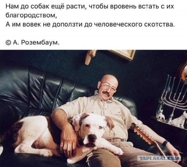 Очередная "любительница" животных