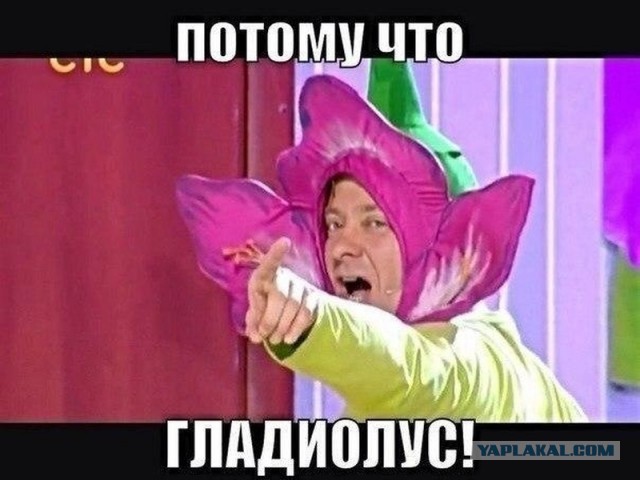 Глава района в Псковской области вместо сведений о доходах опубликовала указ Путина, разрешающий об этом не отчитываться
