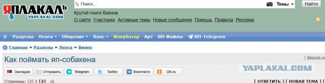 Как поймать яп-собакена