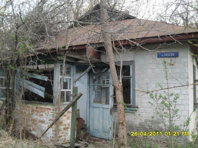 Чернобыль 2011
