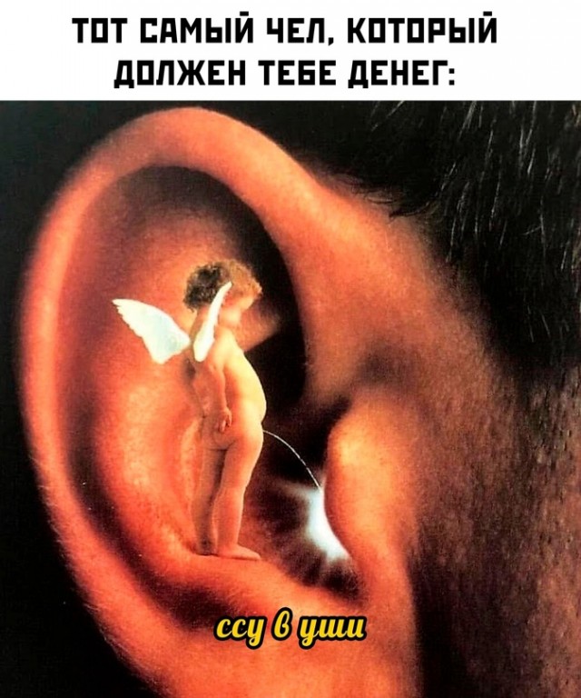 Весёлый полтишок 09.11.23