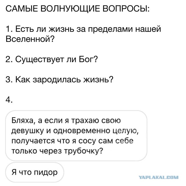 40 пятничных картинок 29.12.2023
