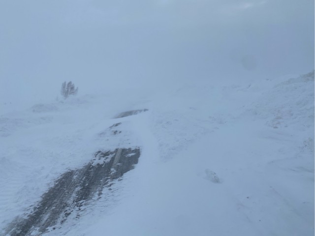 Метель. Самара
