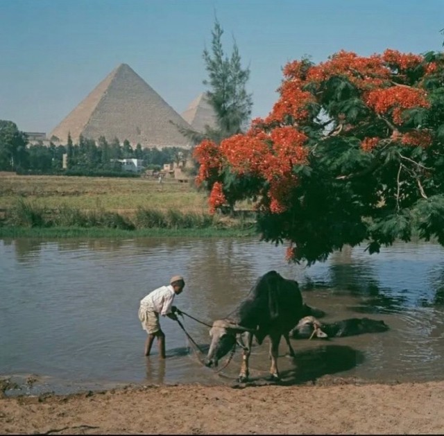 Редкие кадры и архивные снимки 07.02.24