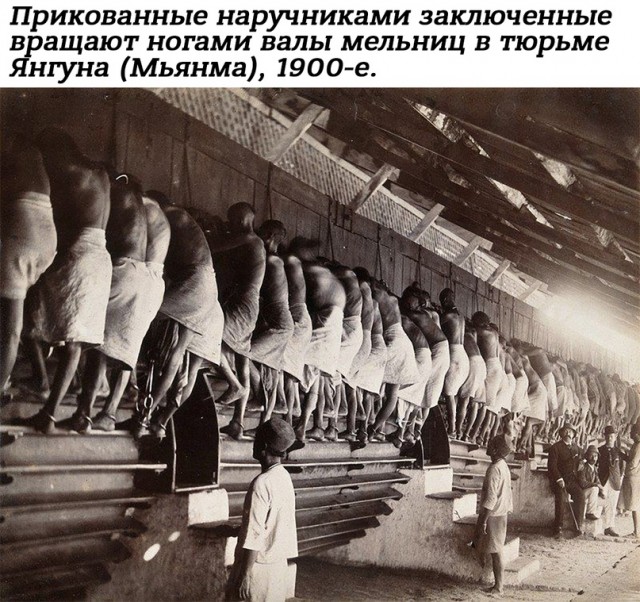 Небольшая подборка истрических фото (15.05)