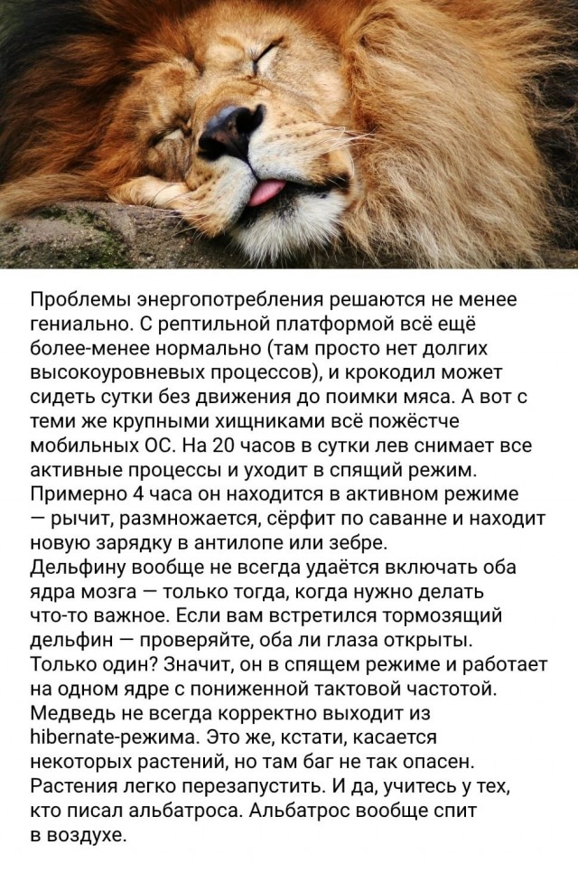 Баги в природе