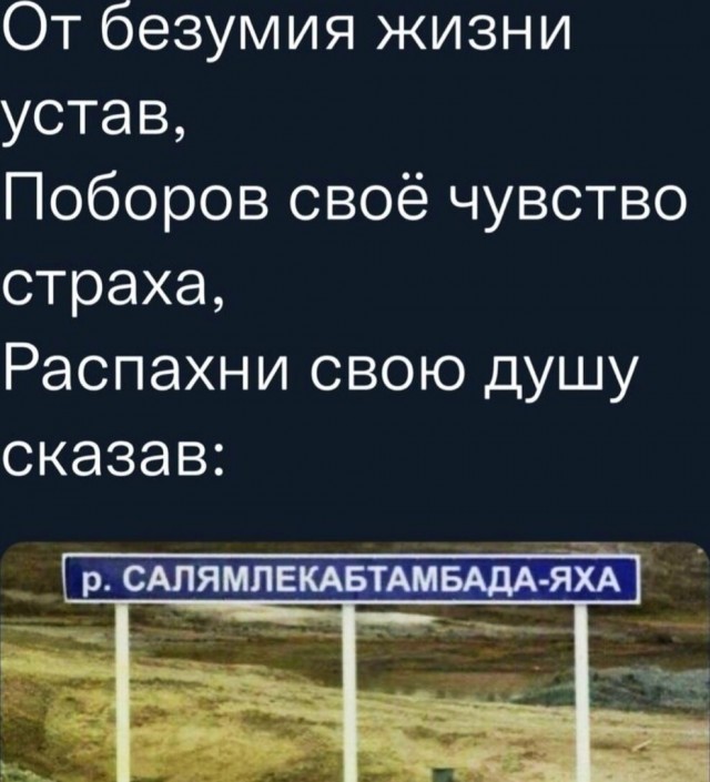 19449866.jpg