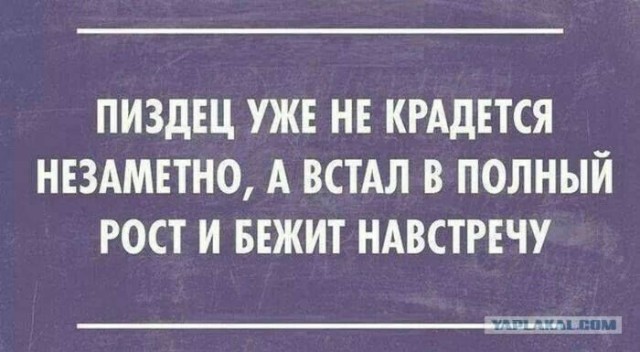Веселые картинки в пятницу (24.01)