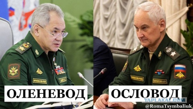 Генерал Соболев заявил, что ослы на передовой — это нормально
