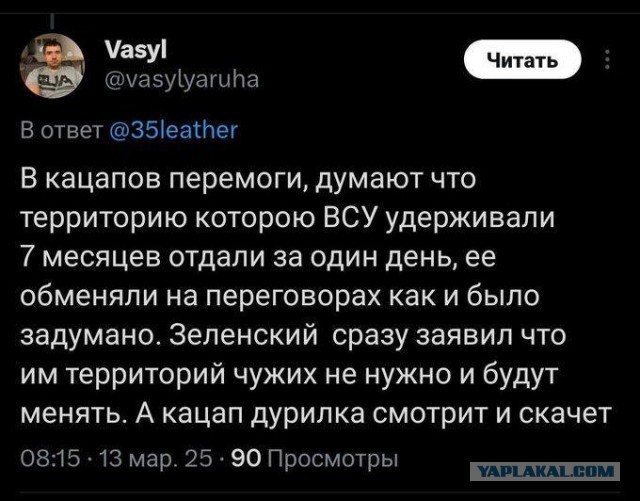 Эльфийская общественность - в восторге!