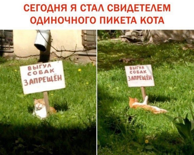 Завалялось тут случайно немного забавных картинок