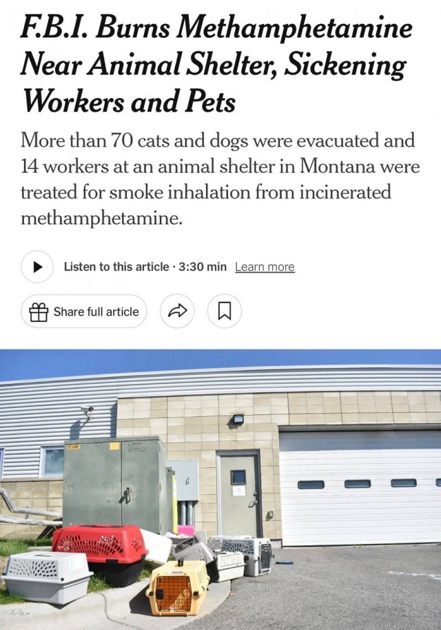 В американском штате Монтана ФБР случайно «накурило» метамфетамином приют для животных
