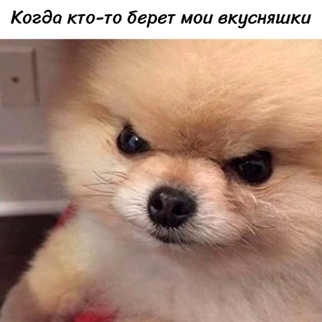 Четверговые картинки