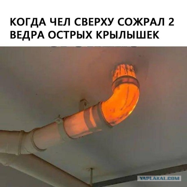 Веселые картинки в маленькую пятницу (15.10)