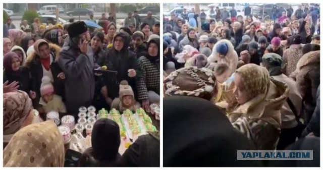 Сладкая раздача