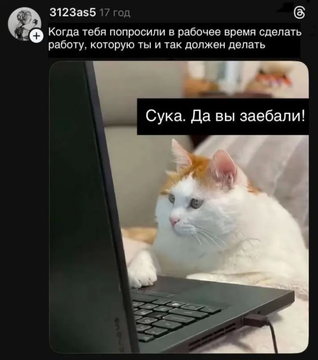 Так я ж на работу хожу ради денег, а не поработать