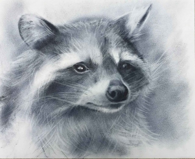 Рисунки животных