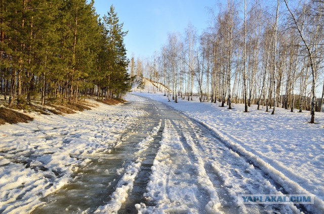 Мое хобби