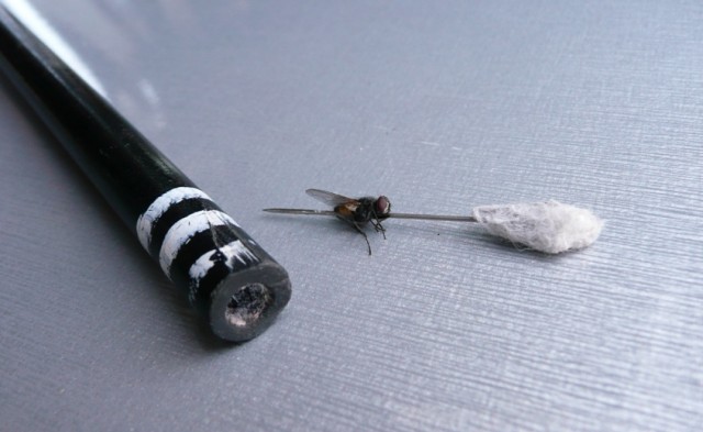 Бытовые предметы очень крупным планом