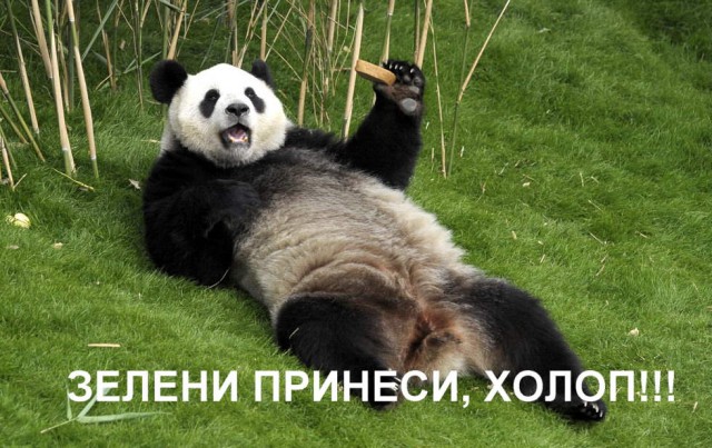 Кому юки отсыпать?