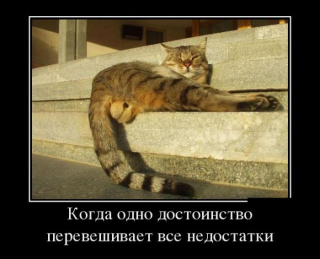 Весёлые картинки