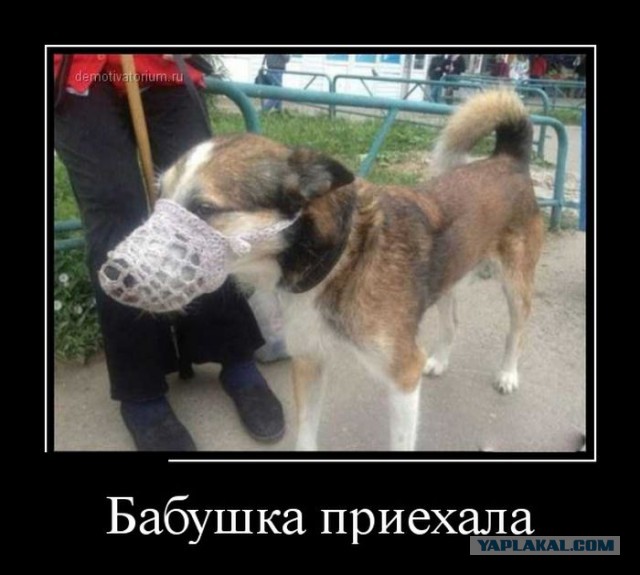 Вторничные картинки