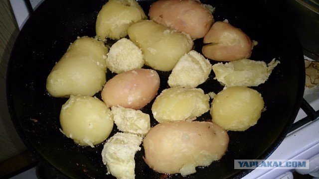 пивная фря