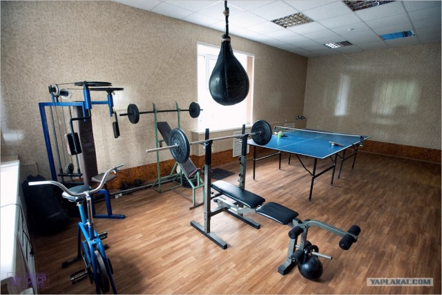 Центр кинологической службы Упр-ния на транспорте