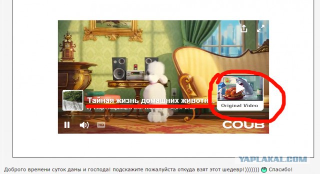 Кубы на четверг