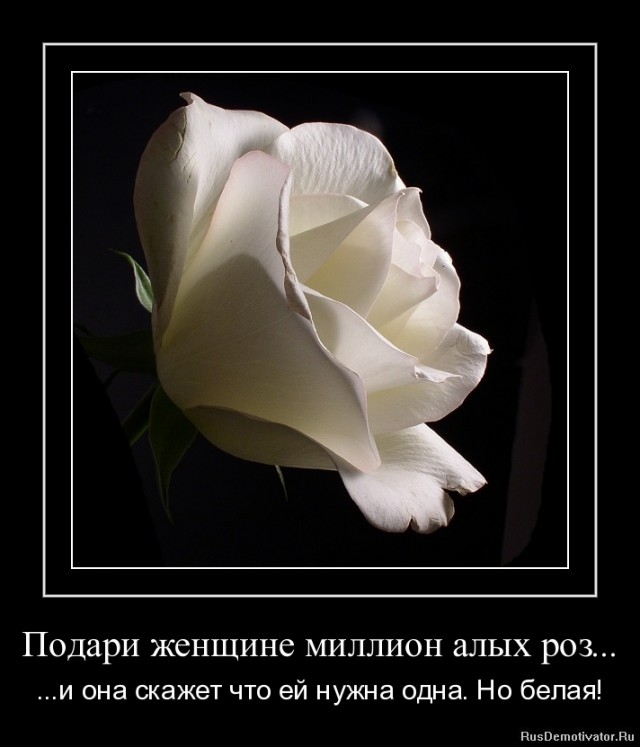 Вы хотите "демов"? часть 2-я