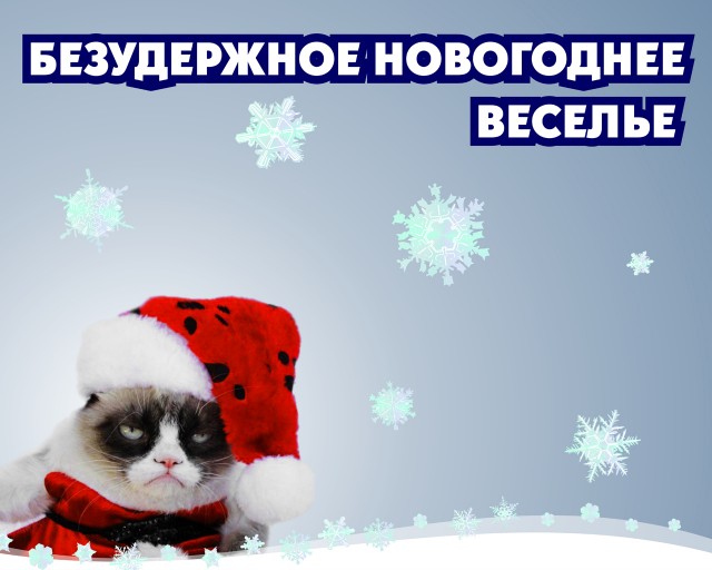 Новогодняя обоина веселого кота